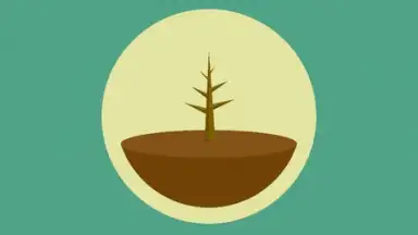 Forest: Stay Focused screenshot 4