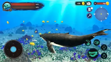 The Humpback Whales screenshot 15