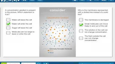 SPARKvue screenshot 2