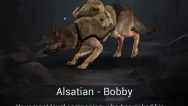 Undead Unlimited screenshot 4