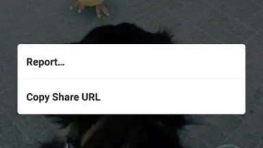 Instagram Photo and Video Downloader screenshot 2