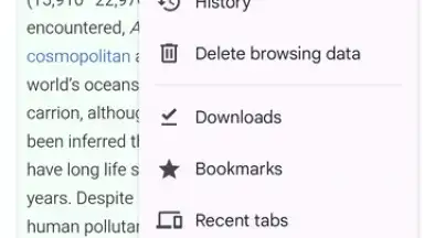 Chrome Beta screenshot 1