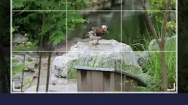 Smart Gallery - Photo Manager screenshot 4