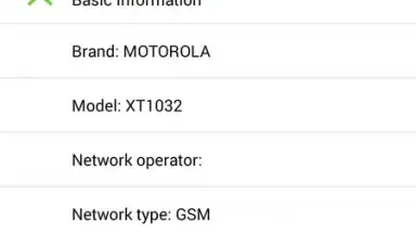 Root Tutorials screenshot 4