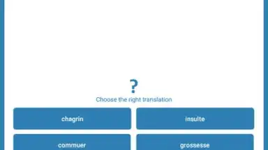 Reverso Translation Dictionary screenshot 18