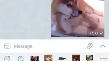 ForkGram screenshot 8