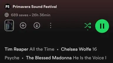Spotify screenshot 29