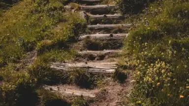 Instander screenshot 10