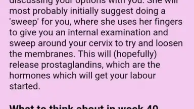 Pregnancy Weekly screenshot 6