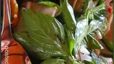 ThaiFood screenshot 8