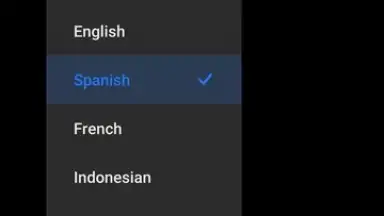 Mi AI Translate screenshot 5