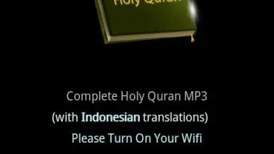 Quran MP3 With Indonesian screenshot 4