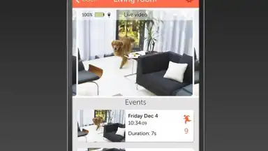 Manything screenshot 10