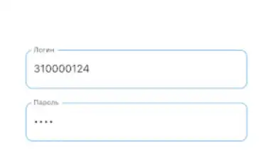Мой свет screenshot 3