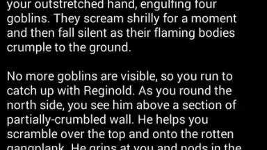 Medieval Fantasy RPG screenshot 5