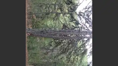VidTrim - Video Editor screenshot 1