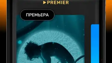 PREMIER screenshot 13