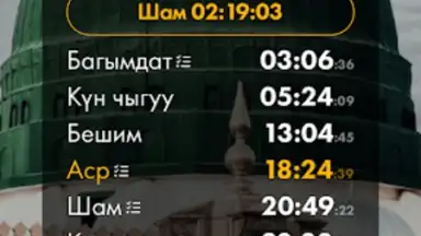 Nasaat Media screenshot 7