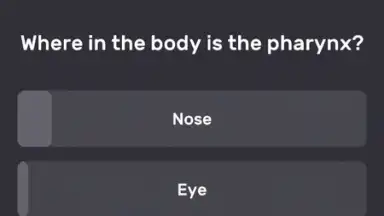 QuizzLand screenshot 1