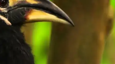 OGYouTube screenshot 8