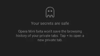 Opera Mini beta screenshot 5