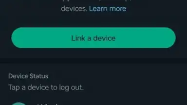 WhatsApp Messenger screenshot 31