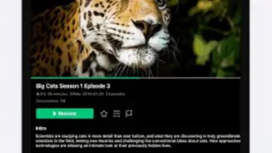 VidHub screenshot 16