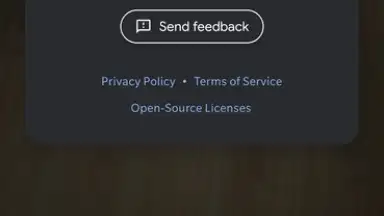 Camera Go screenshot 2