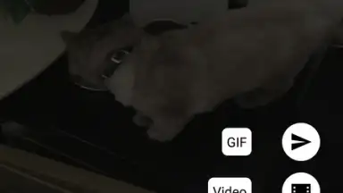 Motion Stills screenshot 4