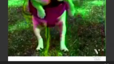 Motion Ninja screenshot 5