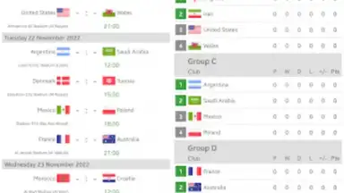 Live Scores for World Cup 2022 screenshot 3