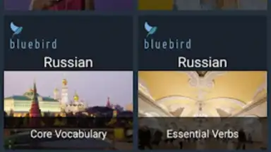 Bluebird Russian screenshot 8