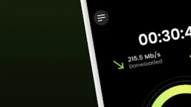 Bear VPN screenshot 2