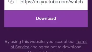 YouTube Video Downloader screenshot 1