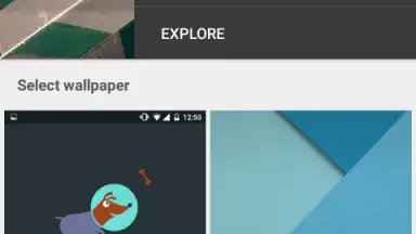 Google Wallpapers screenshot 5