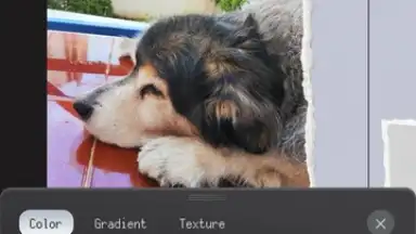 ProCCD screenshot 9