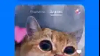 VK Clips screenshot 2