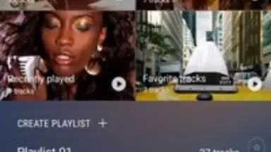 Samsung Music screenshot 3