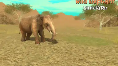 Wild Elephant Sim 3D screenshot 5