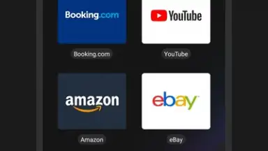 Vivaldi screenshot 11