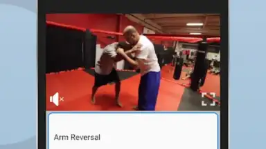 Ultimate MMA Fighting Program screenshot 4