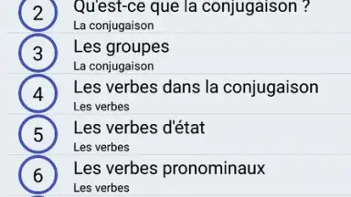 Le Conjugueur screenshot 2