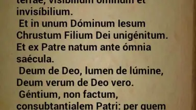 Catholicae preces screenshot 4