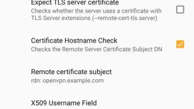 OpenVPN screenshot 19