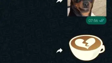 WhatsApp Messenger screenshot 12