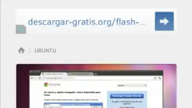 FlashFox - Flash Browser screenshot 2