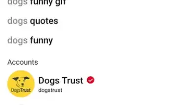 Pinterest screenshot 8