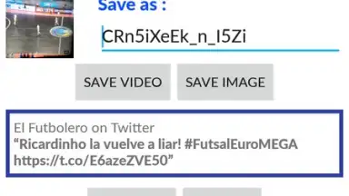 Video Downloader for Twitter screenshot 5