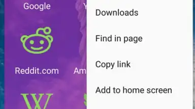 usa web browser screenshot 2