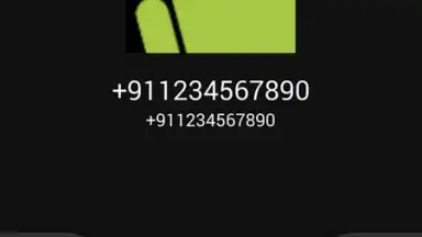 Call Screen screenshot 8